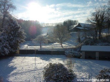 Winterlicher Blick in den naturnahen Garten Winter im Garten